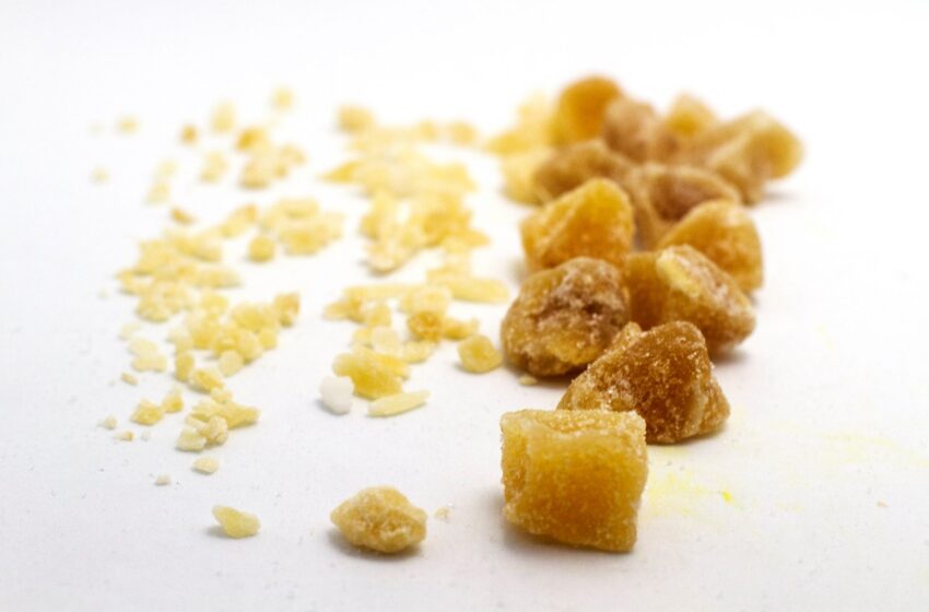  Crystallized Ginger Cubes and more by Rose Hill Ginger Enterprises at the 2019 Summer Fancy Food Show