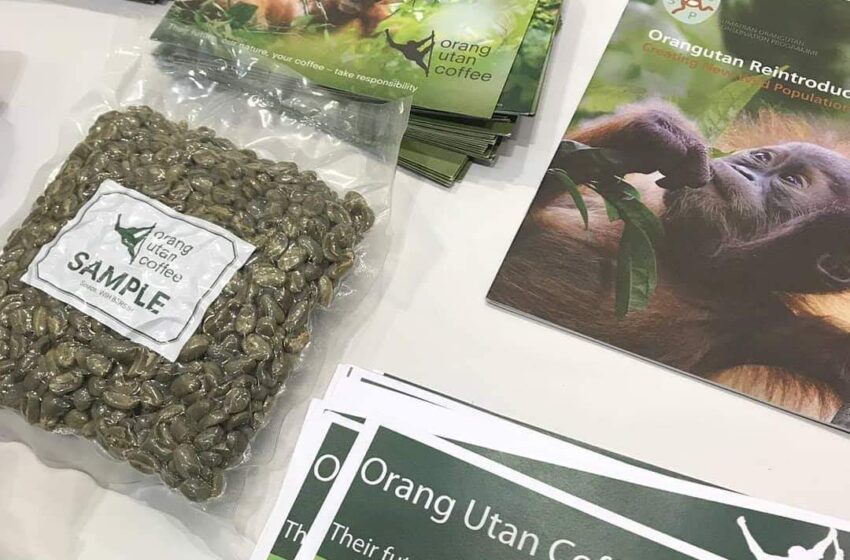  Organg Utan Coffee at the 2020 Coffee Fest