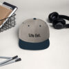 Snapback Hat - Image 9